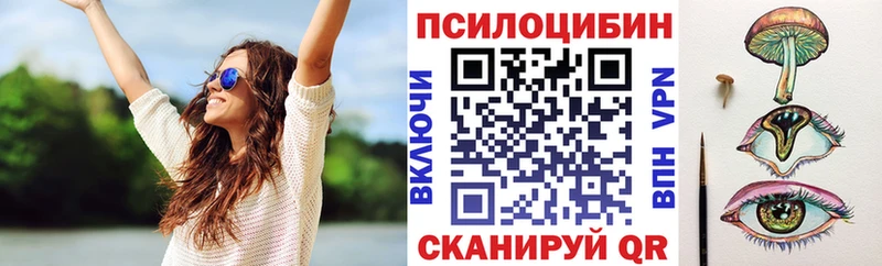 Галлюциногенные грибы Psilocybine cubensis  Змеиногорск 