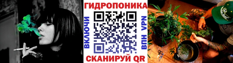 Шишки марихуана OG Kush Змеиногорск